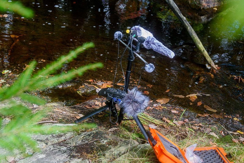 20240929-DSC_2405 20240929-DSC_2405