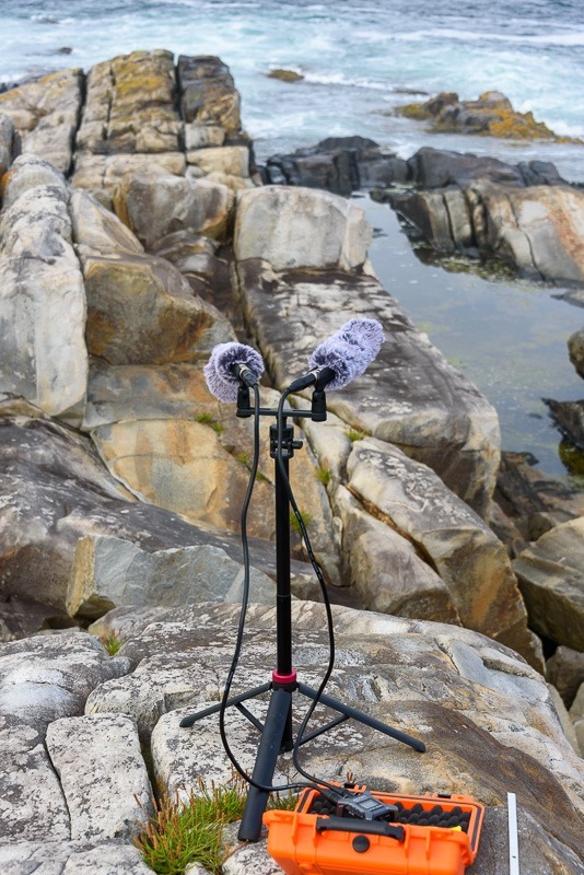 20240818-DSC_1861 20240818-DSC_1861